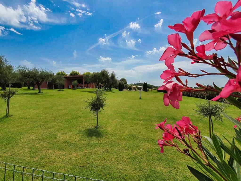 Villa Claudia Bardolino Exteriér fotografie